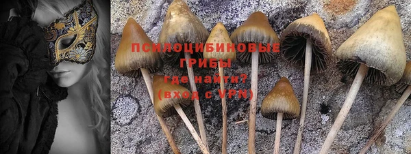 соль курить ск Нея