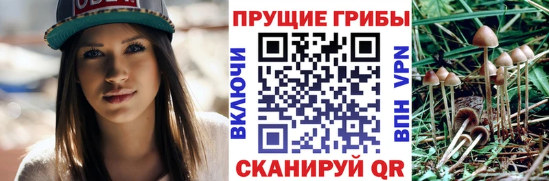 где купить наркоту  Рязань  Псилоцибиновые грибы мухоморы 